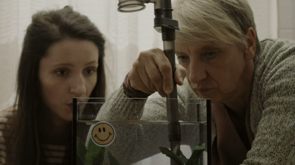 A young girl and her mother cleaning a fish tank together – a scene from "Good Luck Sara!"